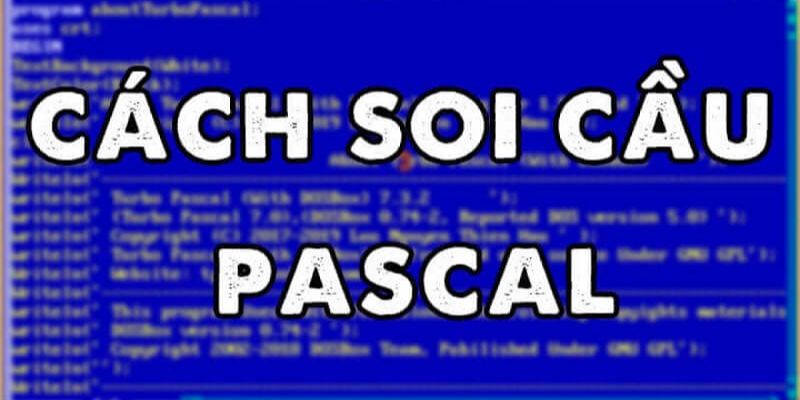 Dựa trên cầu Pascal để dự đoán kết quả xổ số Đắk Lắk